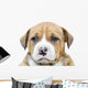 Pit Bull Puppy Dog Wall Decal