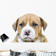 Pit Bull Puppy Dog Wall Decal
