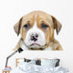 Pit Bull Puppy Dog Wall Decal