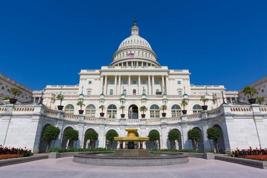 Capitol Congress Building Washington Wall Decal