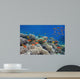 Tropical Fish and Hard Wall Decal