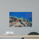 Tropical Fish and Hard Wall Decal