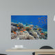 Tropical Fish and Hard Wall Decal