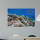 Tropical Fish and Hard Wall Decal