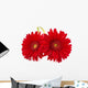 Fresh Gerbera Flowers Wall Decal