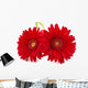 Fresh Gerbera Flowers Wall Decal