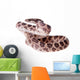 Many Spotted Cat Snake Wall Decal