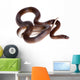 Striped House Snake White Wall Decal Design 2