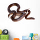 Striped House Snake White Wall Decal Design 2