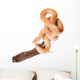 Coiled Cape House Snake Wall Decal