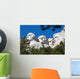 Presidents Mount Rushmore Wall Decal