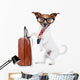 Businessman Boss Dog Wall Decal