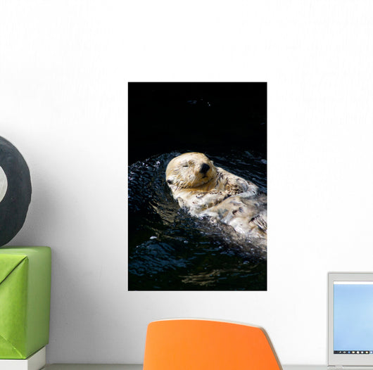Sea Otter Wall Decal