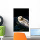 Sea Otter Wall Decal