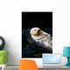 Sea Otter Wall Decal