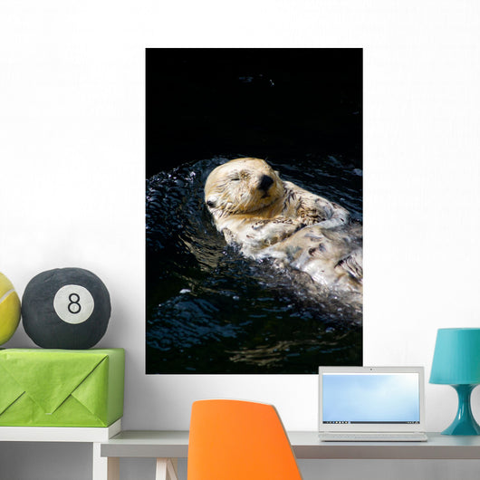 Sea Otter Wall Decal