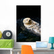 Sea Otter Wall Decal
