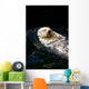 Sea Otter Wall Decal