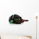 St Patrick's Day Rottie Wall Decal
