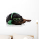 St Patrick's Day Rottie Wall Decal