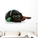 St Patrick's Day Rottie Wall Decal