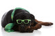 St Patrick's Day Rottie Wall Decal