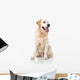 Golden Retriever Wall Decal
