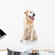 Golden Retriever Wall Decal