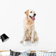 Golden Retriever Wall Decal