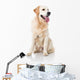 Golden Retriever Wall Decal