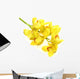 Cymbidium Wall Decal