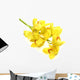 Cymbidium Wall Decal
