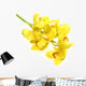 Cymbidium Wall Decal