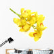 Cymbidium Wall Decal