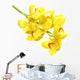 Cymbidium Wall Decal