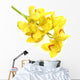 Cymbidium Wall Decal