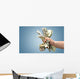 Money Money Hand Hand Wall Decal