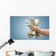 Money Money Hand Hand Wall Decal