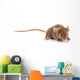 Small Mouse Wall Decal