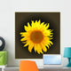 Sunflower Dark Gradient Wall Decal