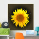 Sunflower Dark Gradient Wall Decal
