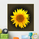 Sunflower Dark Gradient Wall Decal