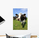 Cozy Cow Wall Decal