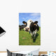 Cozy Cow Wall Decal