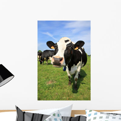 Cozy Cow Wall Decal shown on a wall