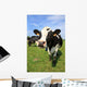 Cozy Cow Wall Decal