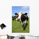 Cozy Cow Wall Decal