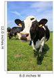 Cozy Cow Wall Decal
