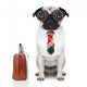 Business Boss Dog Wall Decal