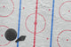 Referee's Hockey Rink Wall Decal